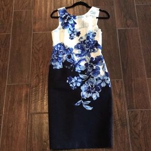 Gorgeous Anthropologie Maeve Vanda dress size 6